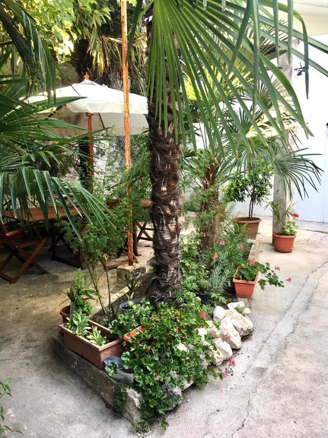 Palmera Mostar Luaran gambar