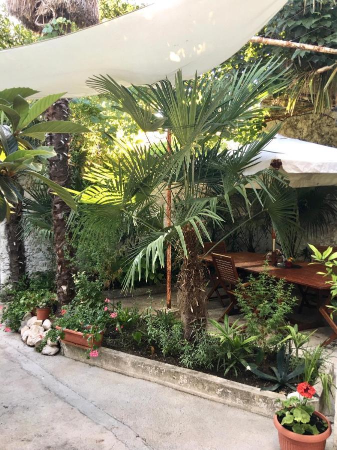 Palmera Mostar Luaran gambar
