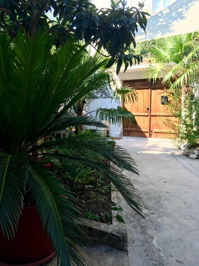 Palmera Mostar Luaran gambar