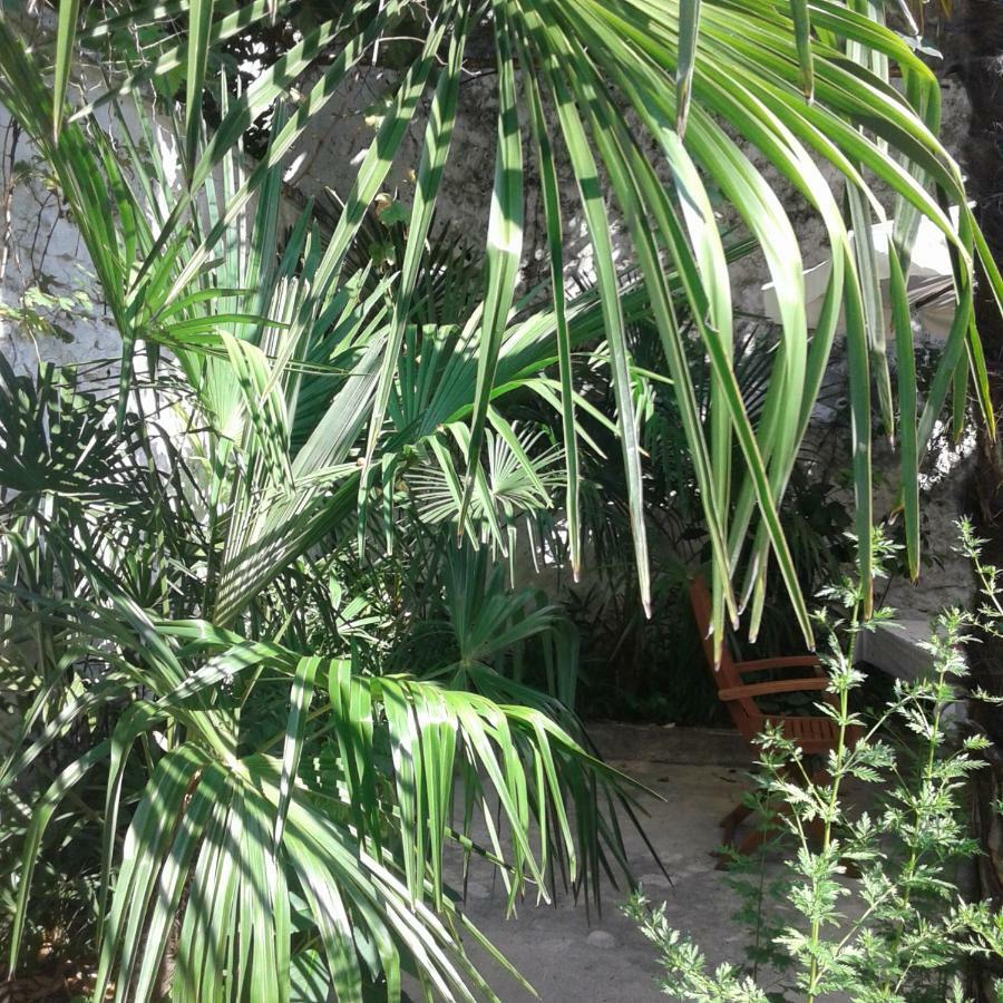 Palmera Mostar Luaran gambar