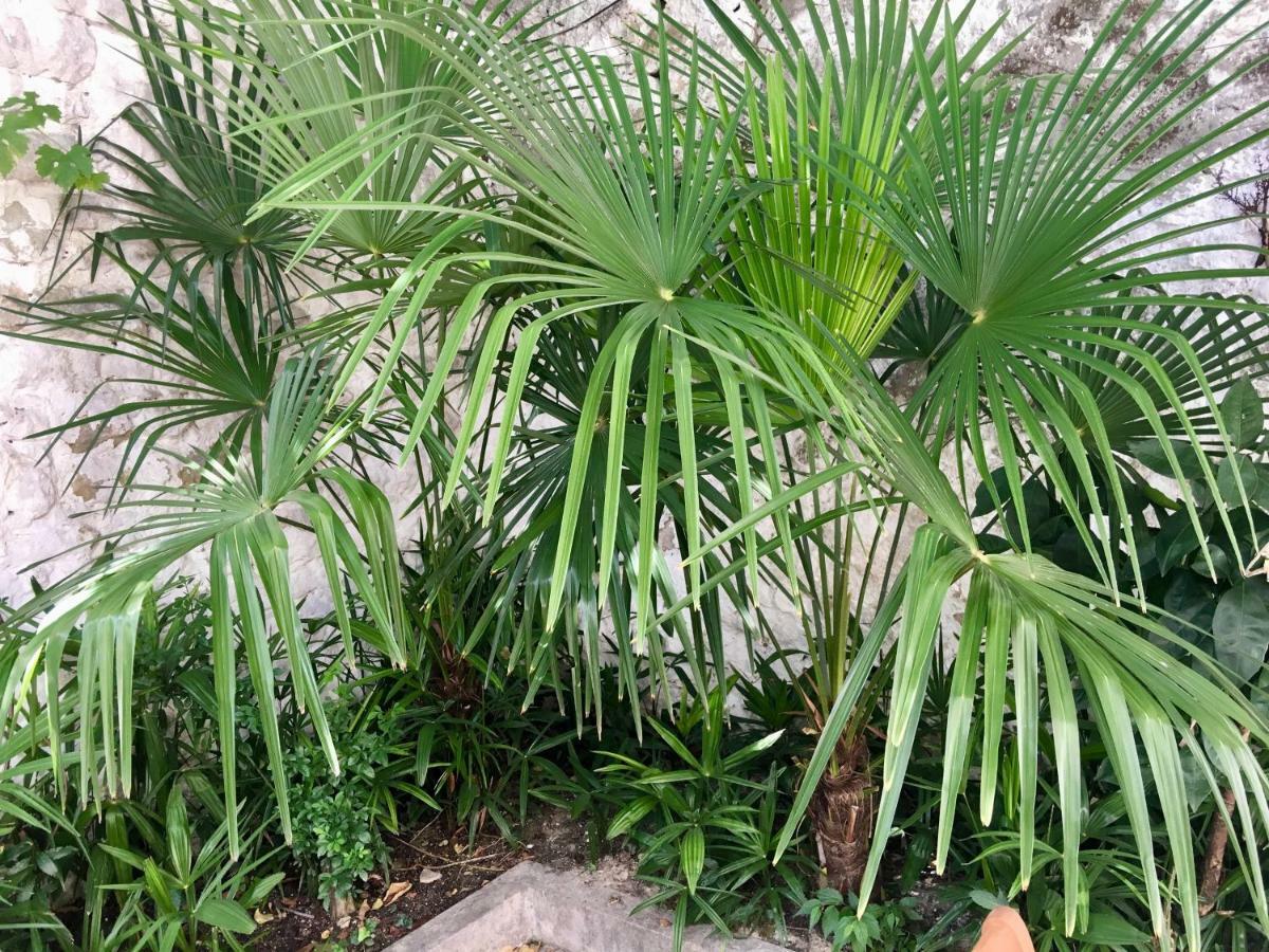 Palmera Mostar Luaran gambar
