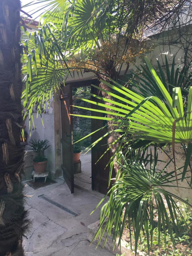 Palmera Mostar Luaran gambar