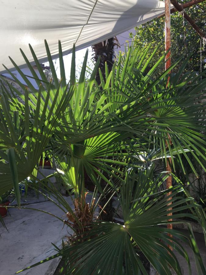 Palmera Mostar Luaran gambar