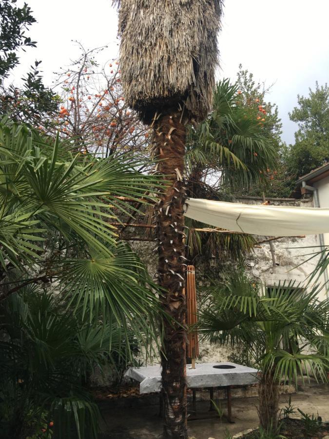 Palmera Mostar Luaran gambar