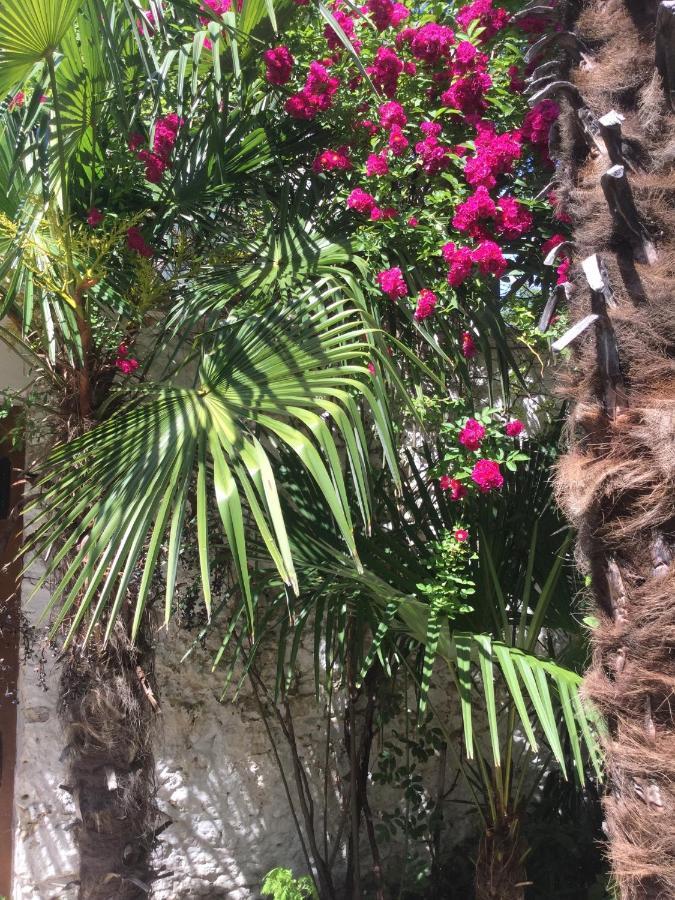 Palmera Mostar Luaran gambar