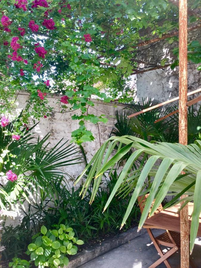 Palmera Mostar Luaran gambar