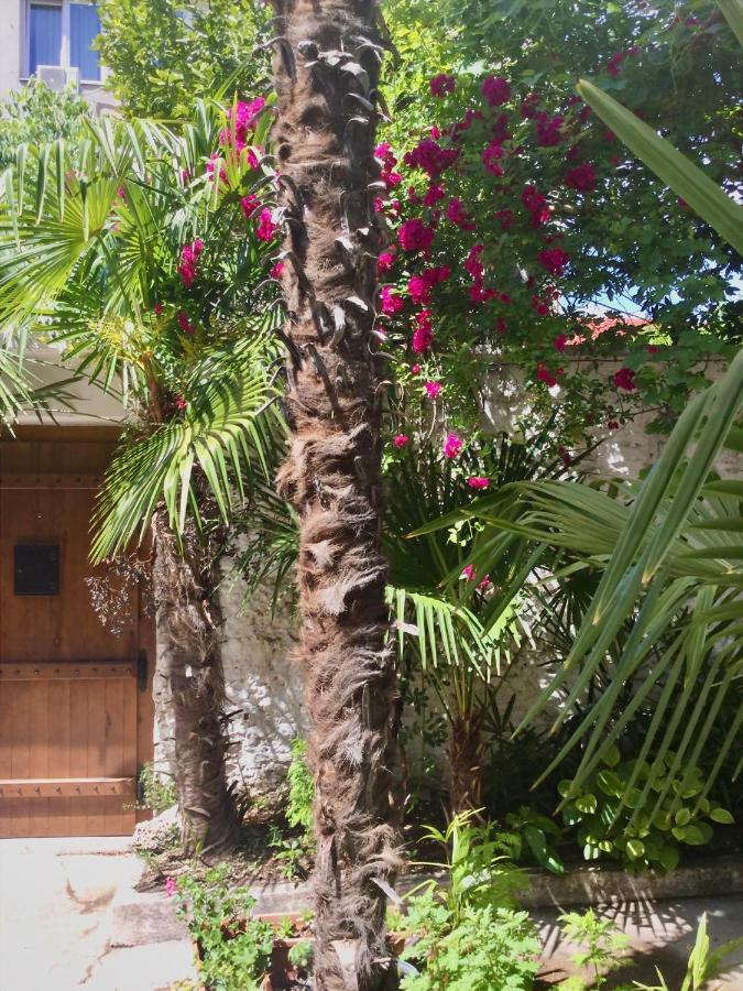 Palmera Mostar Luaran gambar